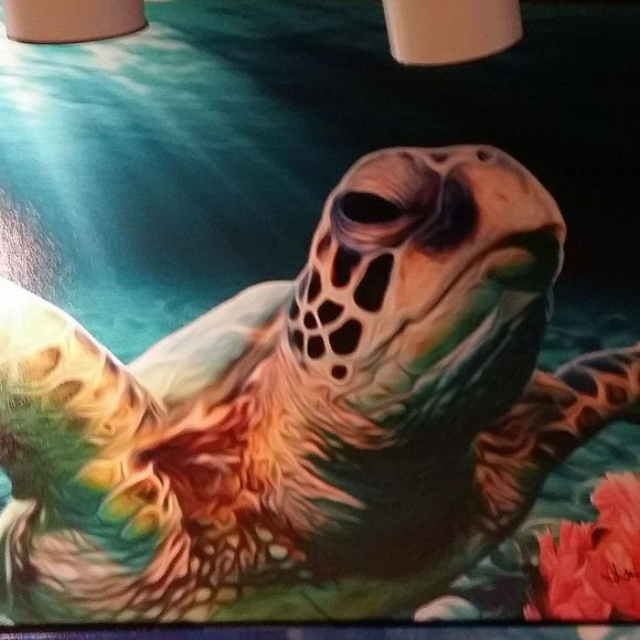 Meet your Posher, Melissa - Picture 1 of 1